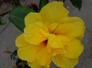 DSC08390