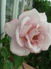 2015-06-26 15.37.35