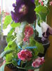 Picture My plants 3797