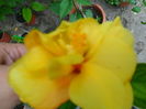 SAM_6701