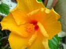 SAM_6709