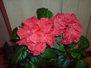 DSC00266