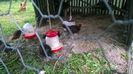 WP_20130727_032
