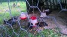 WP_20130727_033