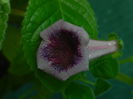 DSCN7969