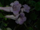 DSCN8084