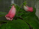 DSCN8120