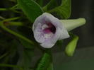 DSCN8149