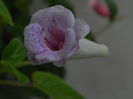 DSCN8165