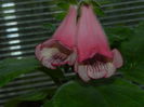 DSCN8173