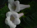 DSCN8180