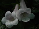 DSCN8181