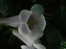 DSCN8182