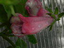 DSCN8183