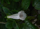 DSCN8186