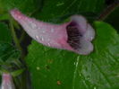 DSCN8190