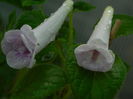 DSCN8191
