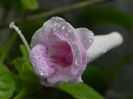 DSCN8192