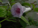 DSCN8200