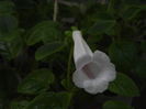 DSCN8211
