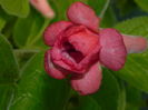 DSCN8276