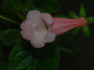 DSCN8281