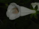 DSCN8284