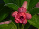 DSCN8289