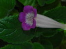 DSCN8340
