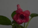 DSCN8359