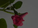 DSCN8360