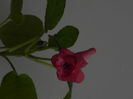 DSCN8361