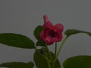 DSCN8362