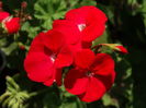 DSC02077