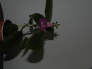 DSCN8366