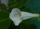 DSCN8396