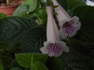 DSCN9163
