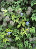 DSC00677
