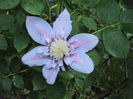 DSC01316