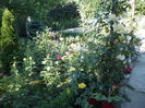 Picture 682