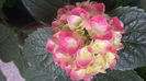 20150629_093633