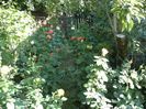 Picture 804