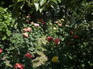Picture 823