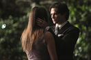 tvds6