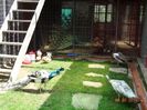DSC02450