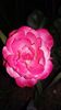 20150628_211424