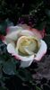 20150624_130305