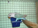 DSCN0144