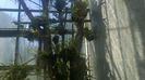 WP_20140930_15_39_31_SmartShoot