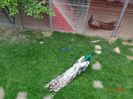 DSC01685